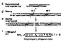Локализованный мутагенез и белковая инженерия Примеры инженерных белков